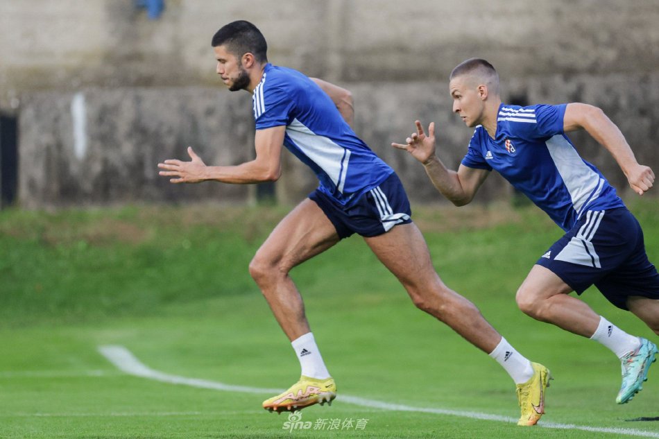 细的分析 细的分析